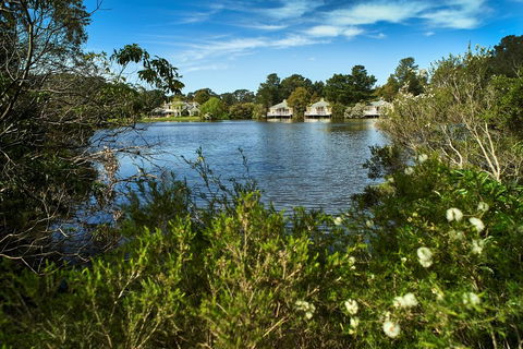 Woodman Estate - Hotel Gold Coast 1