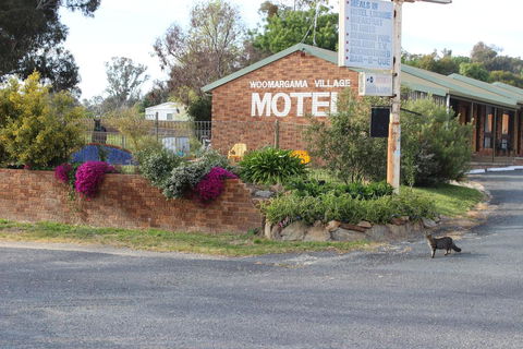 Woomargama Motel - Hotel Gold Coast 3
