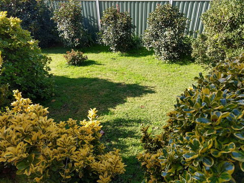 Young Goldrush Motel - Hotel Gold Coast 3