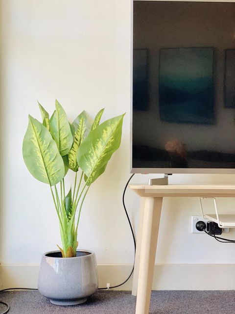 ZEN Homes On Collins - Hotel Gold Coast 3