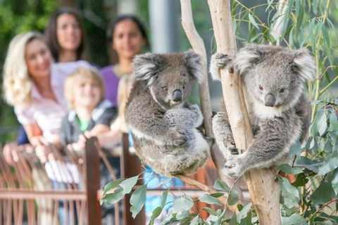 A 3BR Apt Next To Melbourne Zoo FREE Parking - Hotel Gold Coast 2