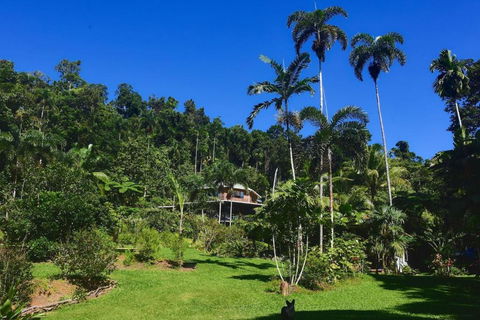A Daintree Garden - Hotel Gold Coast 0