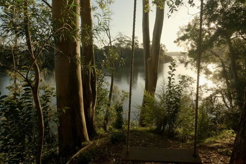 A Tamed Wilderness - Hotel Gold Coast 3