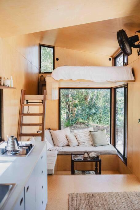 A Tamed Wilderness - Hotel Gold Coast 4