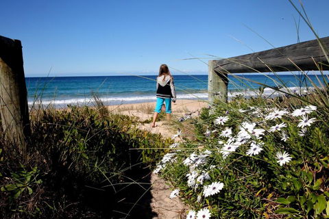 Absolute Beachfront Mollymook - Hotel Gold Coast 4