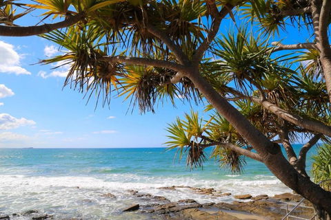 Alex Heads Beachfront Resort 2 Bedroom Apartment - Hotel Gold Coast 3