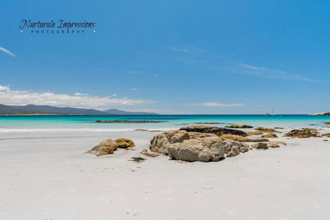 Anchors Away - Hotel Gold Coast 4