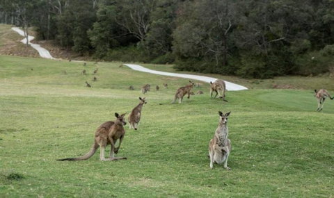 Anglesea River Apartment 22 - Hotel Gold Coast 4