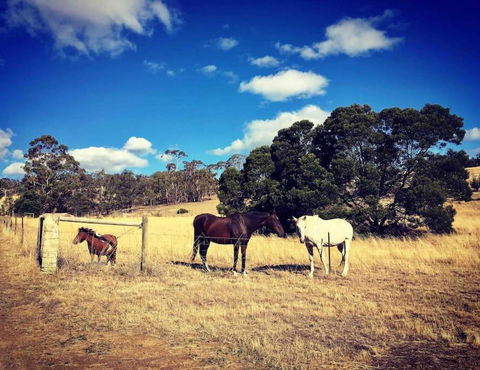 Architecturally Designed Rural Retreat - Hotel Gold Coast 4
