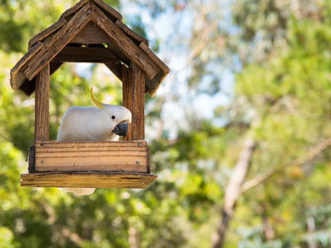 Ashling - Hotel Gold Coast 4