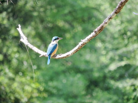 Avalon River Retreat - 400 Acre Riverside Oasis - Hotel Gold Coast 1