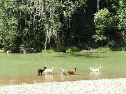 Avalon River Retreat - 400 Acre Riverside Oasis - Hotel Gold Coast 4