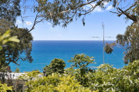 Avirgonia - Hotel Gold Coast 2