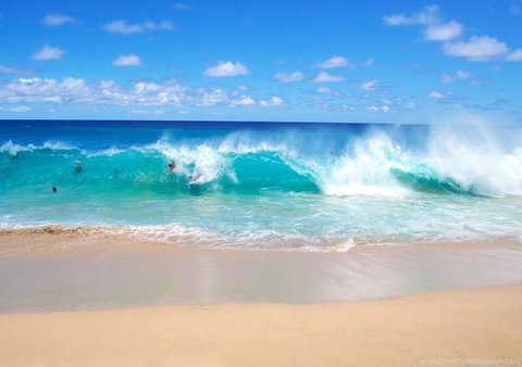 Spectrum Holiday Apartments - Hotel Gold Coast 10