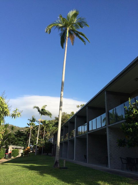 Arcadia Village Motel - Hotel Gold Coast 36