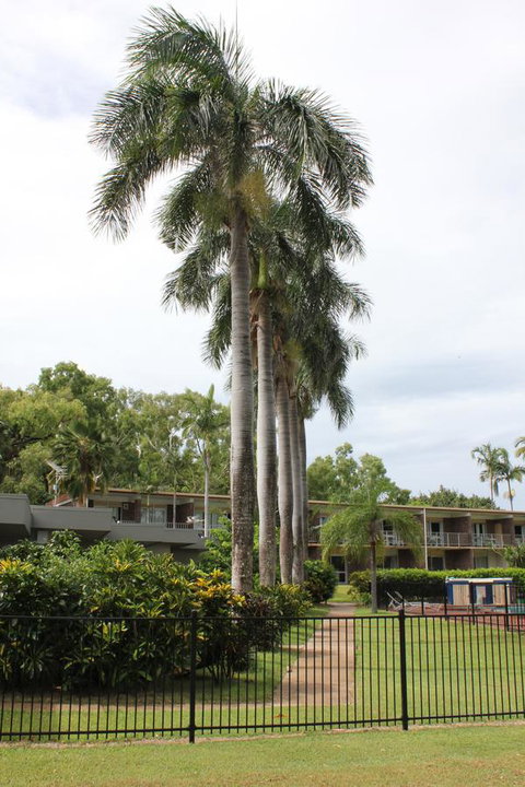 Arcadia Village Motel - Hotel Gold Coast 19