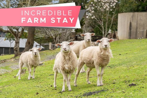 Carawatha On The Range - Unique Farm Stay - Hotel Gold Coast 0
