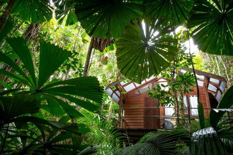 Daintree Wilderness Lodge - Hotel Gold Coast 4