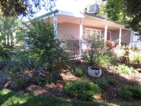 Book Irymple Accommodation Vacations Hotel Gold Coast Hotel Gold Coast