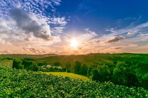 A PERFECT STAY - Byron's Brae - Hotel Gold Coast 3