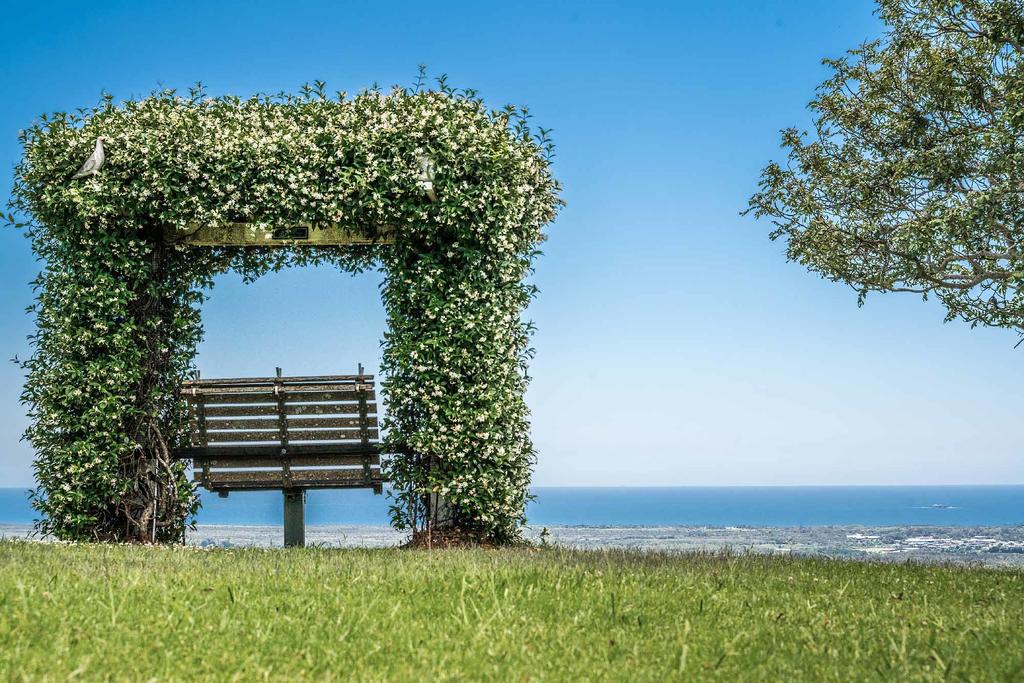 Mcleods Shoot NSW Hotel Gold Coast