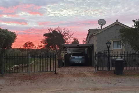 A Real Bush Retreat. Kangas, Emus & Starry Skies. - Hotel Gold Coast 1