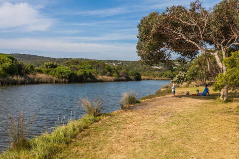 A River Bed Cottage - Hotel Gold Coast 3