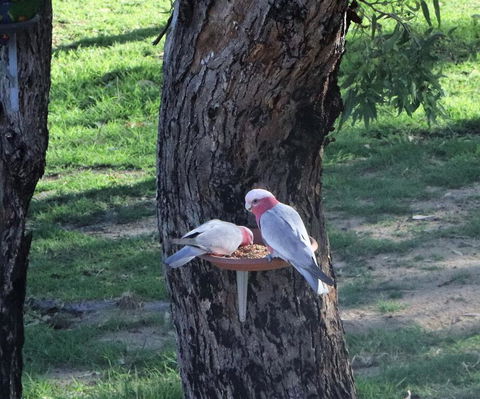 A Stanthorpe Getaway - Hotel Gold Coast 2