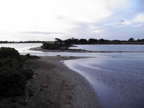 Absolute Waterfront - Hotel Gold Coast 1