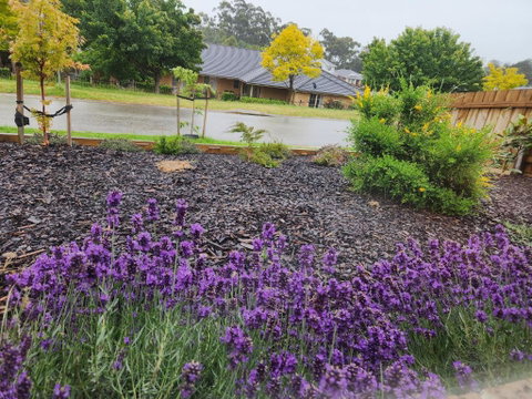 Getaway On Amaroo Way - Hotel Gold Coast 1