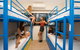 Global Backpackers Cairns - thumb 4
