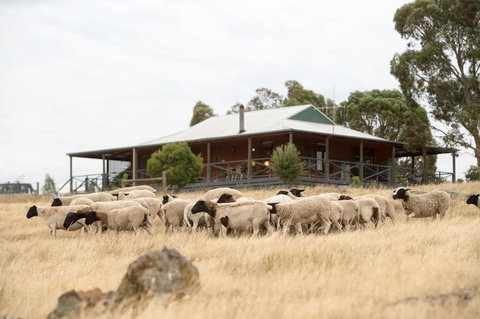 Gilgraves Vineyard Farmstay - Hotel Gold Coast 0