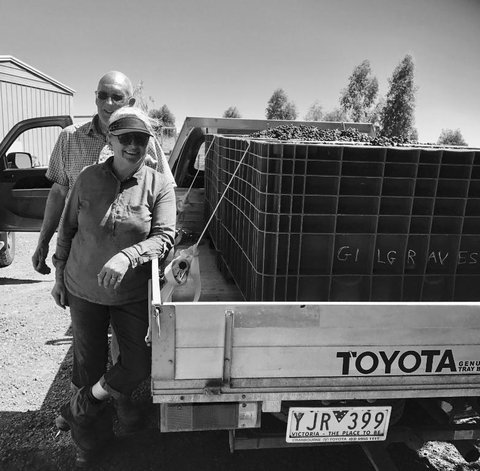 Gilgraves Vineyard Farmstay - Hotel Gold Coast 4