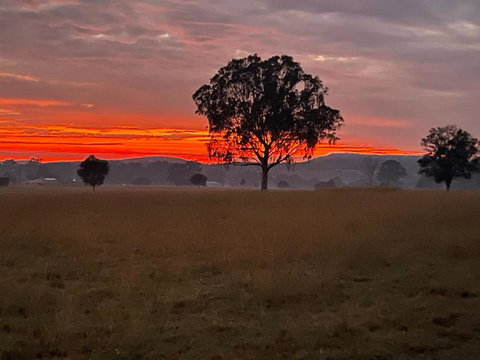 Graceland By Tiny Away - Hotel Gold Coast 0