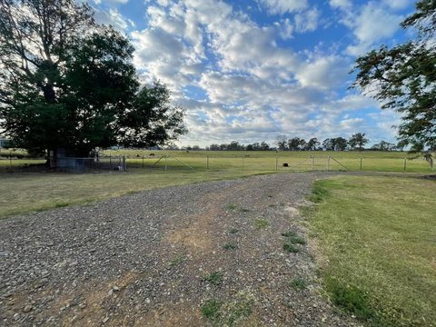 Graceland By Tiny Away - Hotel Gold Coast 4