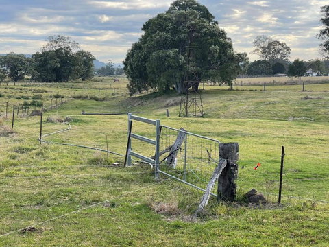 Graceland By Tiny Away - Hotel Gold Coast 2