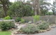 Honeyeater Cottage - thumb 0