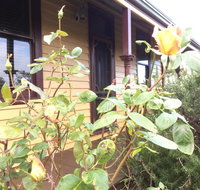 Albion Cottage - Hotel Gold Coast