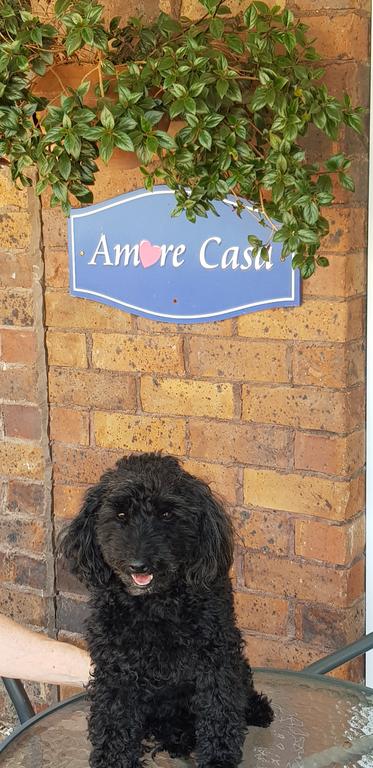 Amore Casa Tenterfield - Hotel Gold Coast 2
