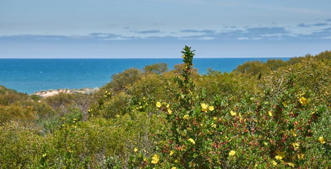 API Preston Beach Front Apartments - Hotel Gold Coast 2