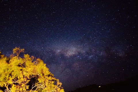 Apollo Panorama Guesthouse - Hotel Gold Coast 1