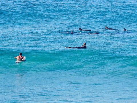 Aquarius Apartment 9 - Hotel Gold Coast 1