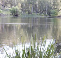 Arcadian Cabin - Southern Highlands River Retreat - Hotel Gold Coast