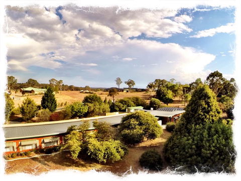 Armidale Rose Villa Motel - Hotel Gold Coast 1