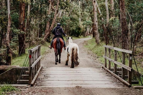 Luxury Mountain Valley Villa In Mt Evelyn - Hotel Gold Coast 3