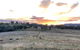 Luxury Country Guesthouse On Large Cattle Station - thumb 1