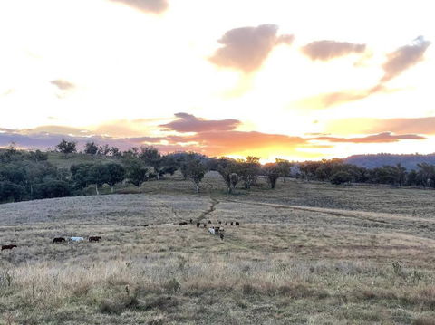 Luxury Country Guesthouse On Large Cattle Station - Hotel Gold Coast 1