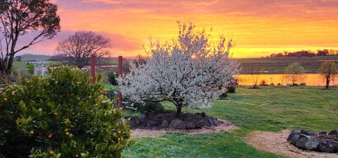 New Horizons Farm Stay - Hotel Gold Coast 3