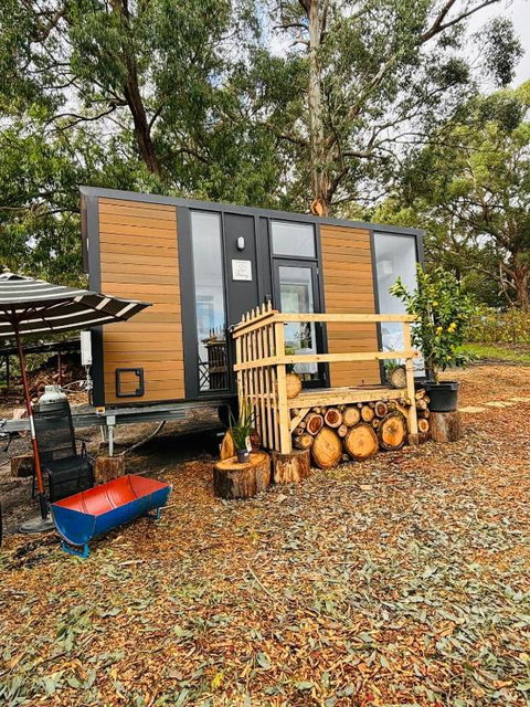 Orange 2 By Tiny Away - Hotel Gold Coast 2