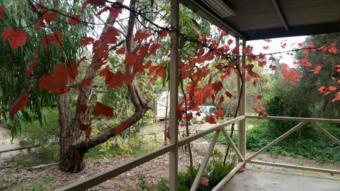 Padthaway Caravan Park - Hotel Gold Coast 1